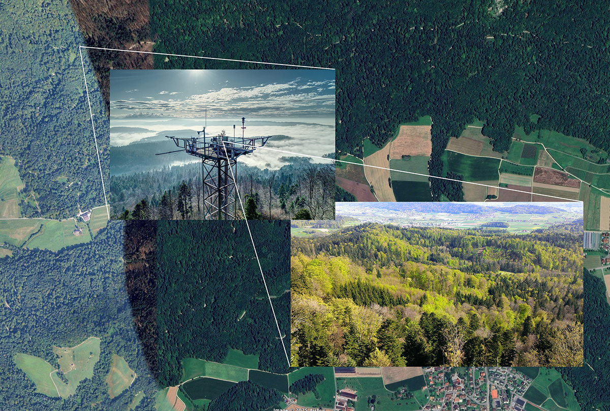Lageren, Switzerland Site