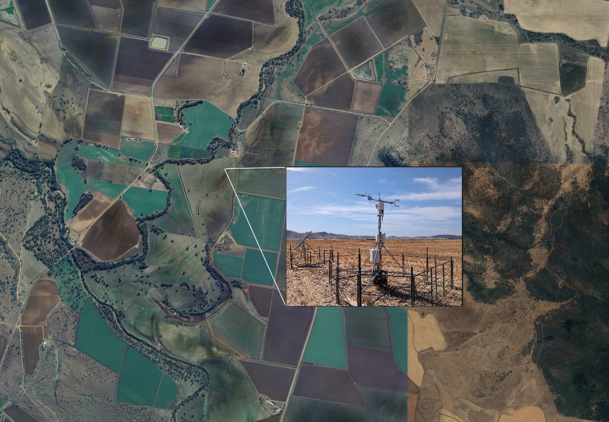 Myall Vale, E. Australia Site