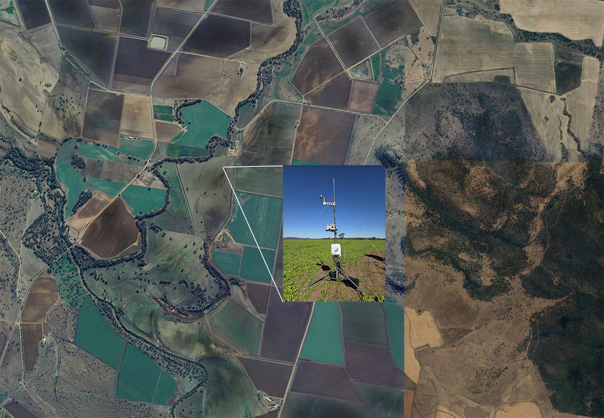 Lageren, Switzerland site Myall Vale, E. Australia Site